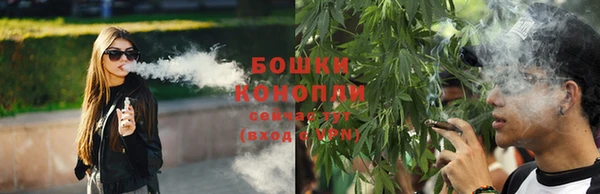 тгк Карпинск