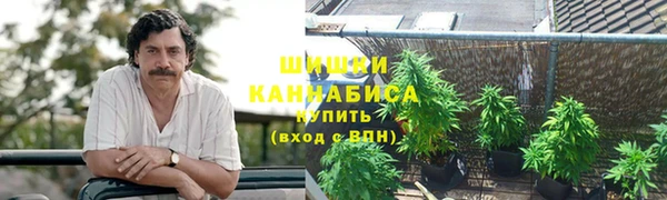 спиды Касимов